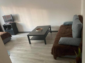 1 room apartment in Statybininku pr.